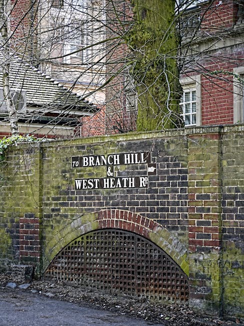 A quiet residential street with narrow pavement on the right and a two-lane road on the left, lined by dark brick terraced houses with white-framed windows and small front gardens, some featuring black metal railings. Tall, leafless trees are visible in the background amidst a clear sky, suggesting early spring or late autumn. The street appears calm, with a few parked cars further along the road. The scene is illuminated by natural daylight, casting soft shadows on the pavement and buildings. This setting is typical of West Hampstead, providing a context for local house removals and furniture transport. The calm and orderly environment reflects the typical conditions encountered during home relocation processes, emphasizing the importance of professional removals services such as those offered by Man and Van West Hampstead, who handle packing, loading, and transportation within such urban residential areas.